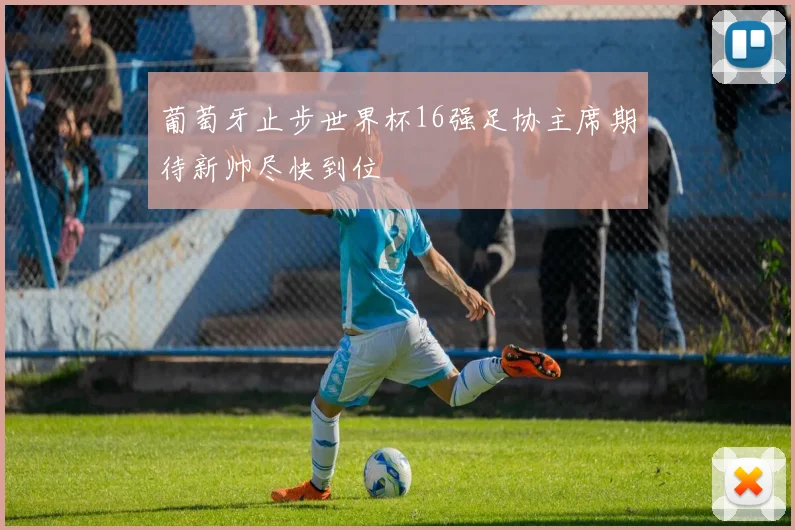 葡萄牙止步世界杯16强足协主席期待新帅尽快到位