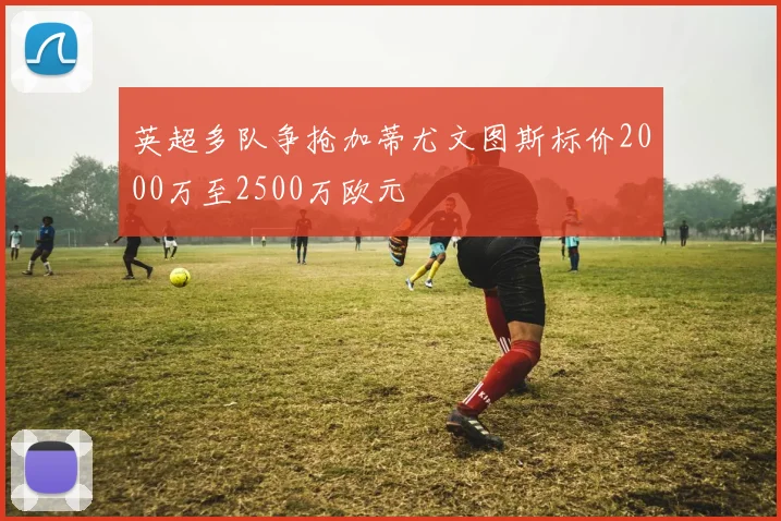 英超多队争抢加蒂尤文图斯标价2000万至2500万欧元